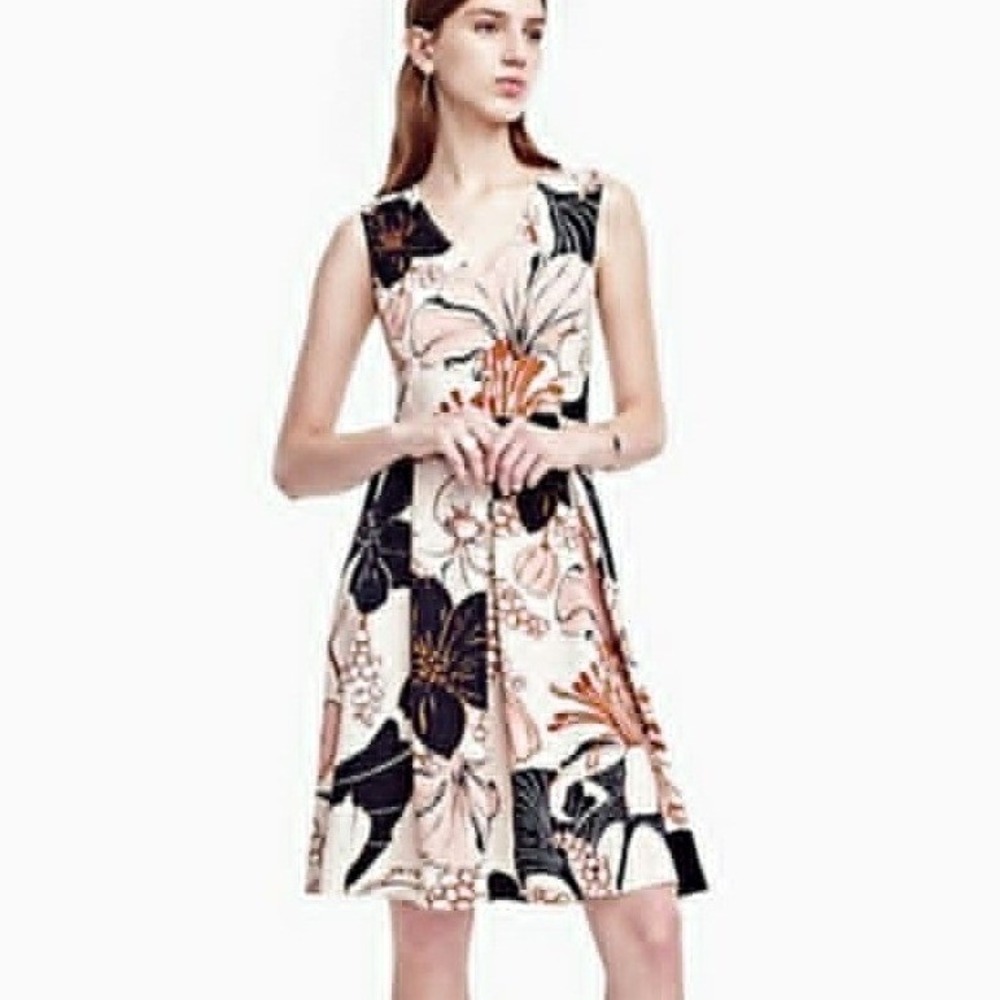 Ann Taylor Blossom Fit & Flare Dress Size 4 V-Neck Sleeveless Floral Knee Length